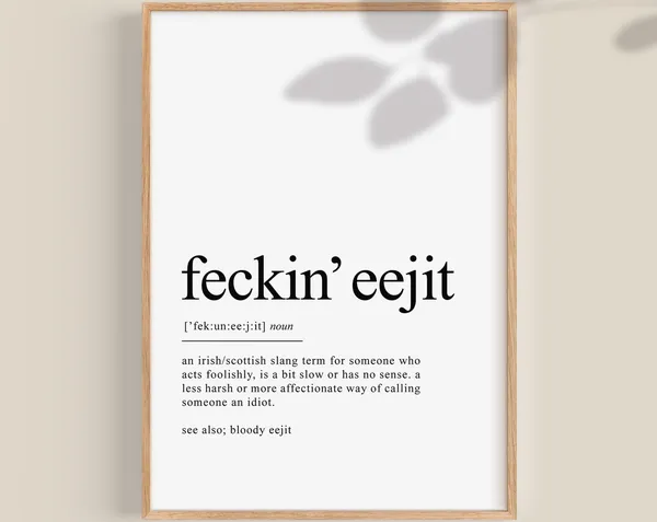 Funny Irish Sayings Definition Art Print