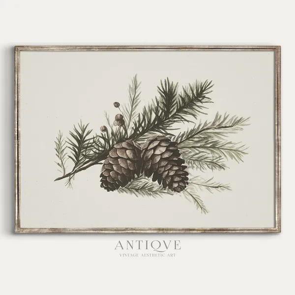 Winter Pinecones Christmas Botanical Rustic Art Print