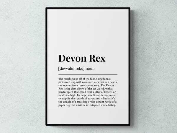 Devon Rex Funny Definition, Cat Breed Poster Print