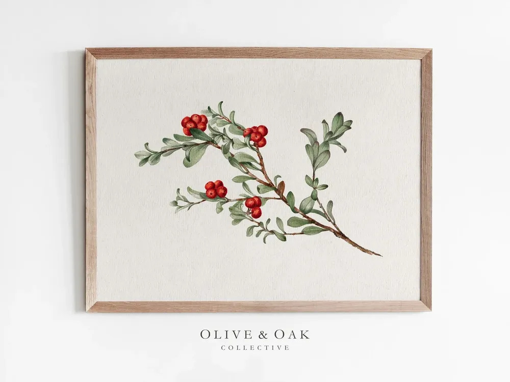 Winter Botanical Branch Drawing, Holiday Decor Print