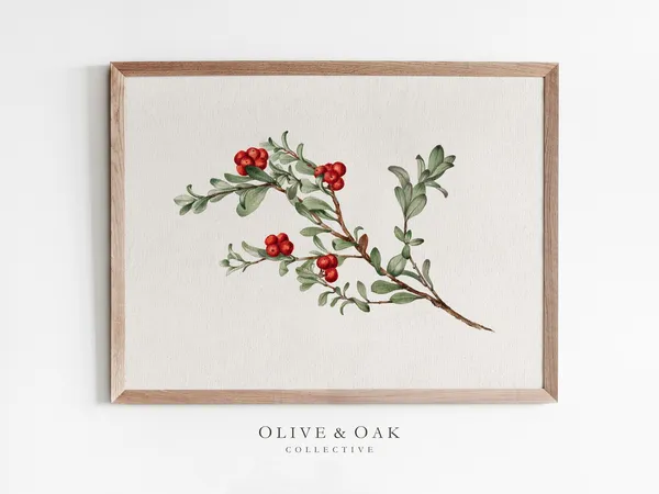 Winter Botanical Branch Drawing, Holiday Decor Print