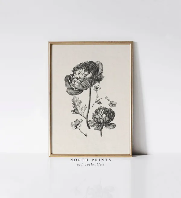 Antique Peony Sketch Art Print, Neutral Botanical
