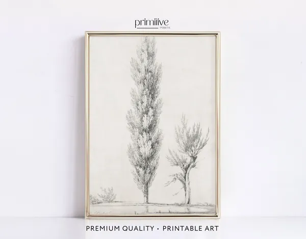 Antique Tree Art Sketch, Vintage Minimalist Decor