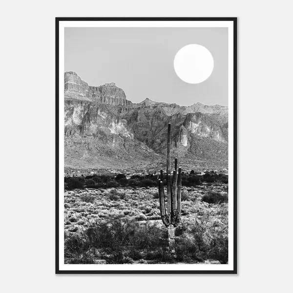 Cactus Under Moonlight, Desert Night Scene Art Print