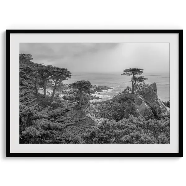 Lone Cypress Tree, Monterey Coastal Wall Art Print