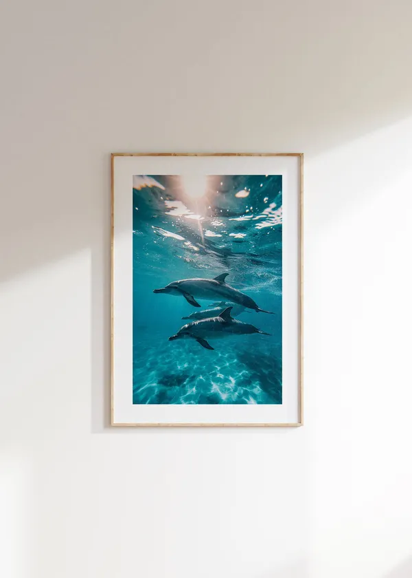 Ocean Ballet Dolphin Poster, Minimalist Nautical Decor