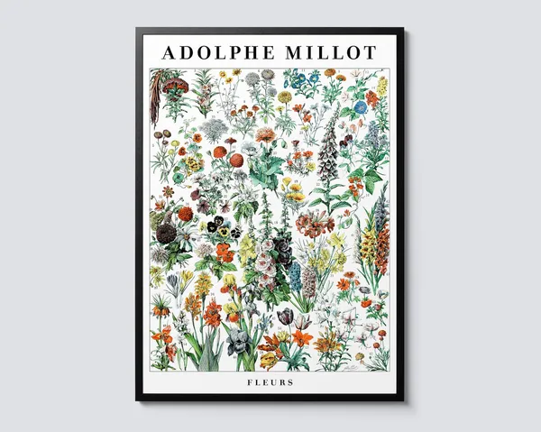 Flowers by Adolphe Millot Vintage Botanical Art Print