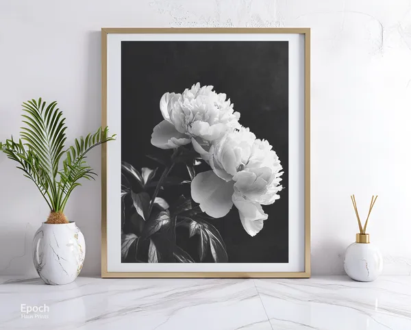 Peony Flowers Black And White Floral Art Print