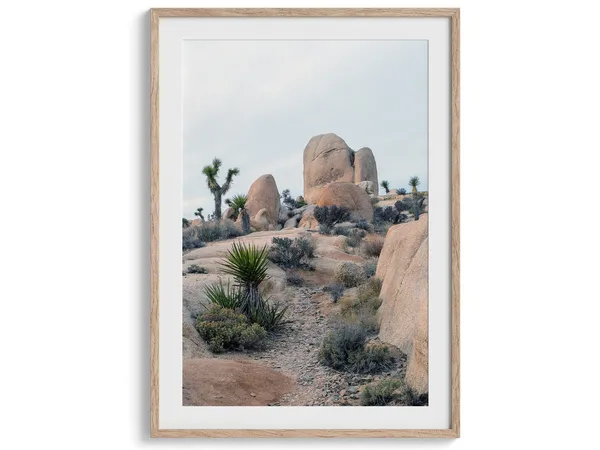 Joshua Tree Park Desert Art Print, California