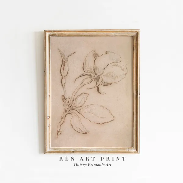 Antique Rose Drawing, Vintage Botanical Sketch Art