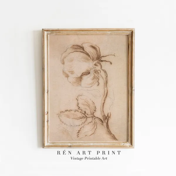 Antique Flower Sketch Art Print, Neutral Rose