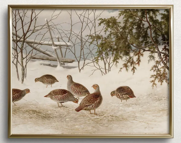 Winter Quail and Partridge, Vintage Bird Art Print