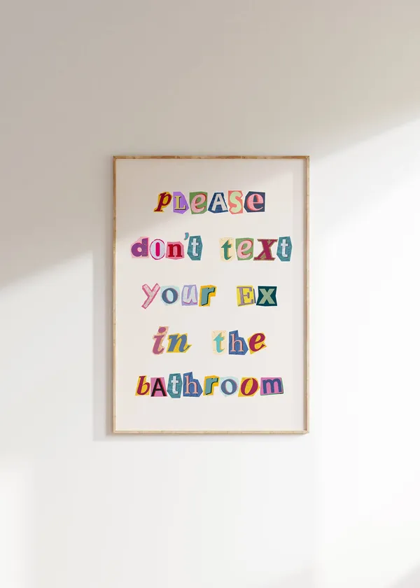 Please Don't Text Your Ex In The Bathroom Art Print