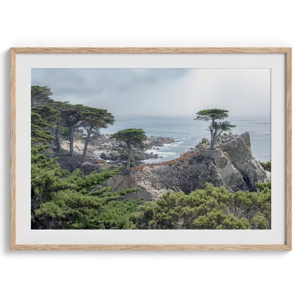 Lone Cypress Tree, Monterey Coastal Art Print