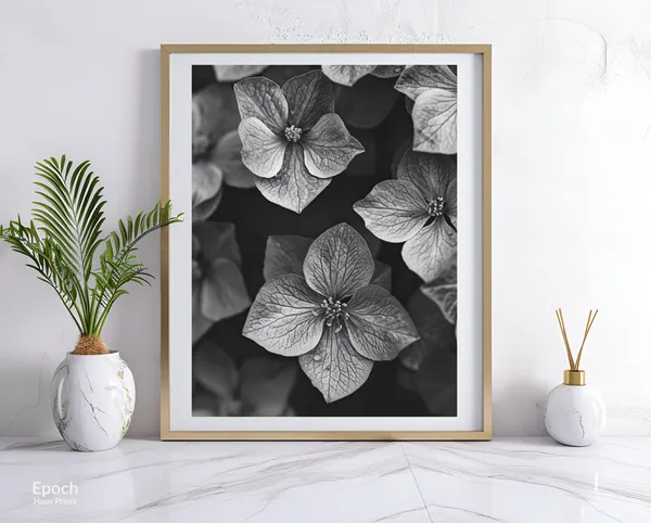 Poinsettia Flower Black And White, Floral Art Print