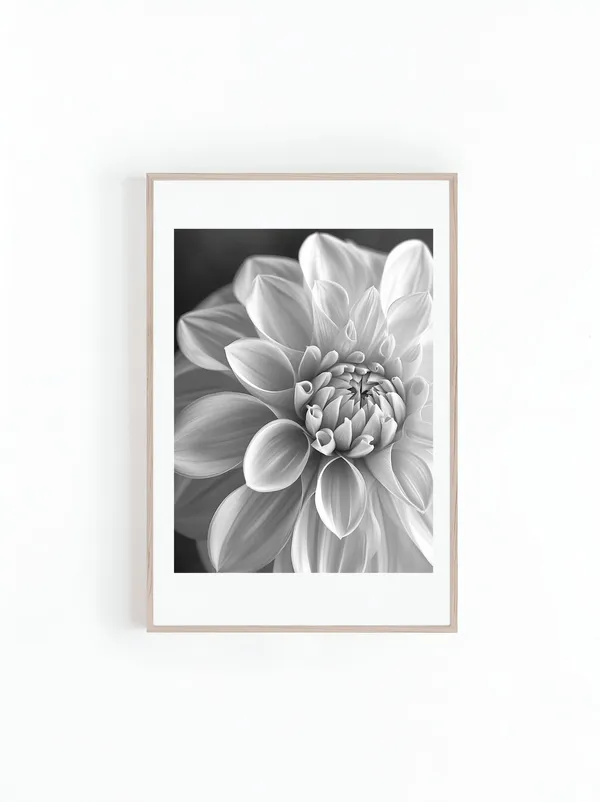 Dahlia Flower Macro Photo, Black And White Art Print