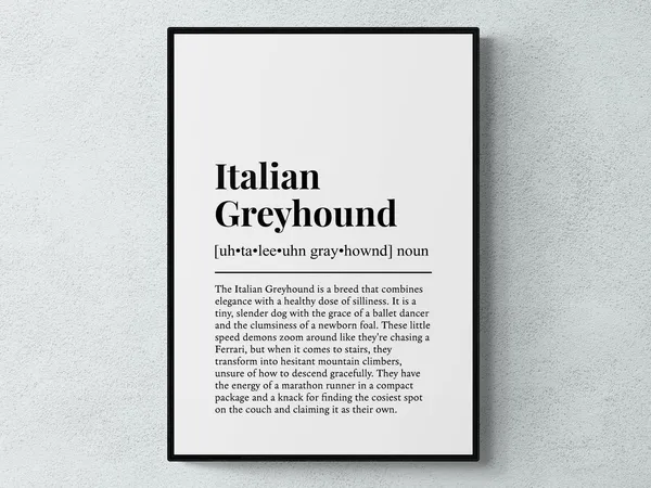 Italian Greyhound Funny Definition Art Print