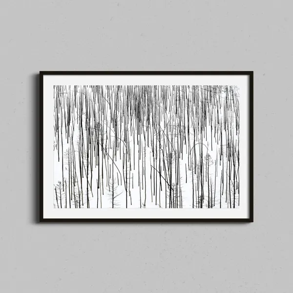 Colorado Abstract Burned Forest, Black and White Art Print
