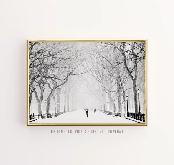 Central Park New York City Winter Art Print