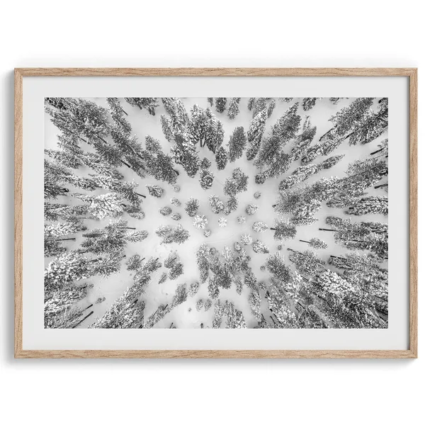 Snowy Forest Winter Nature Photography Art Print