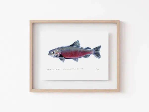 Coho Salmon Print, Oregon Cabin Decor Art