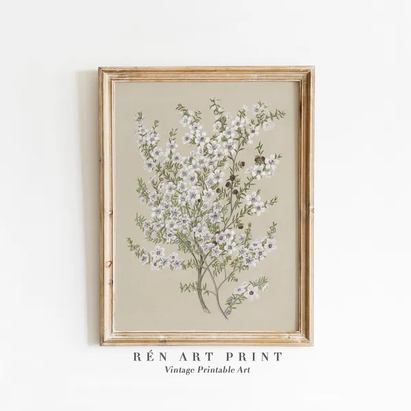 Antique Manuka Plant Painting, Vintage Floral Art Print