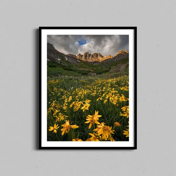 Colorado Wildflowers Art Print, Farmhouse Mountain Landscape