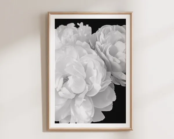 Black And White Peony Botanical Wall Art Print