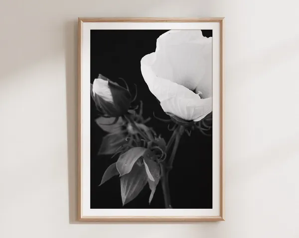 Black and White Flower Art Print, Floral Decor