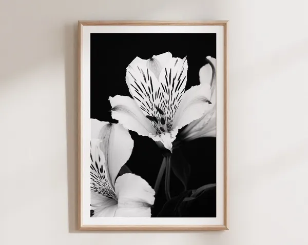 Black and White Botanical Floral Wall Art Print
