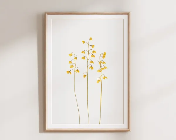 Yellow Pressed Flower, Rustic Botanical Art Print