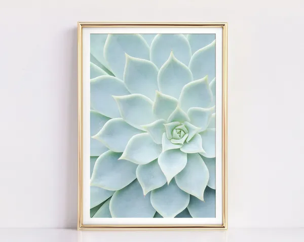 Cactus & Succulent Botanical Art Print, Pale Blue Modern