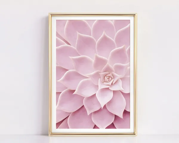 Pink Cactus Botanical Wall Art Print, Nature Decor