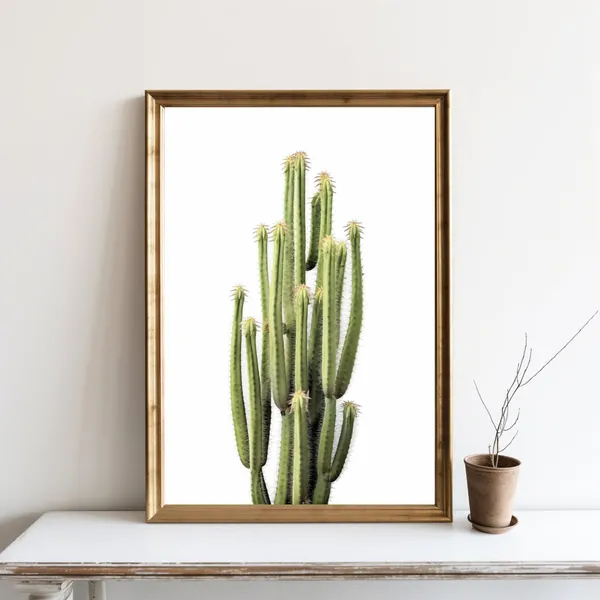 Cactus Art Print, Desert Home Decor