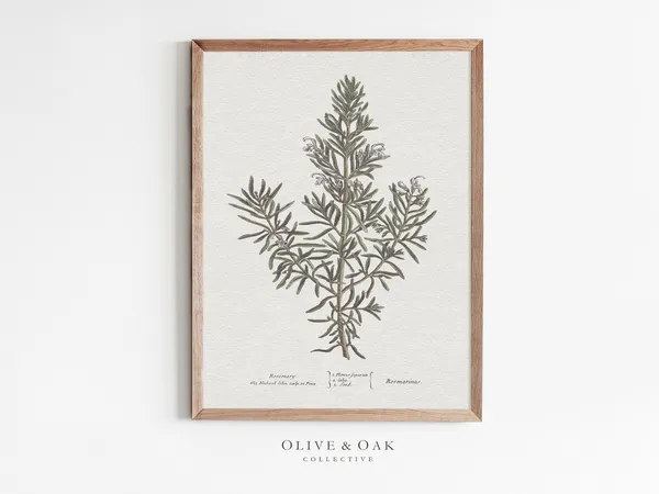 Rosemary Botanical Art Print, Neutral Kitchen Decor