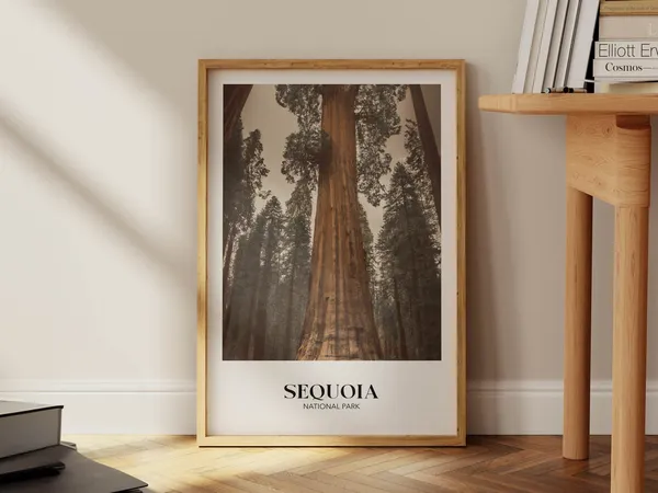 Sequoia National Park Vintage Travel Poster Art Print