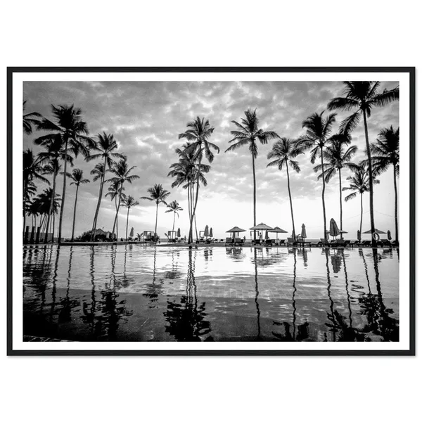 Palm Trees Photography Print, Black And White Coastal Decor
