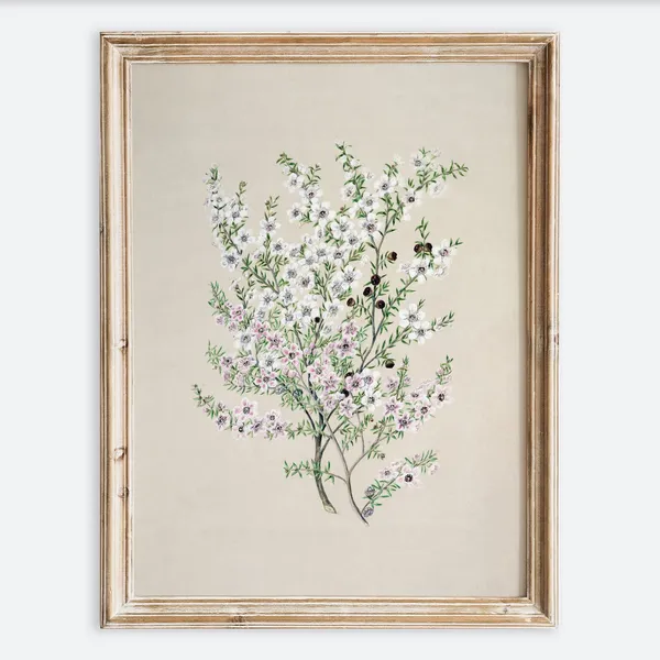 Vintage Botanical Flower Foliage Drawing Art Print