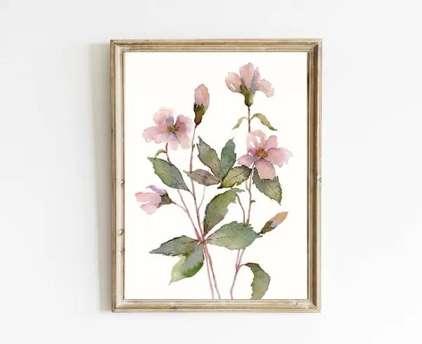 Pink Hellebore Botanical Watercolor Art Print