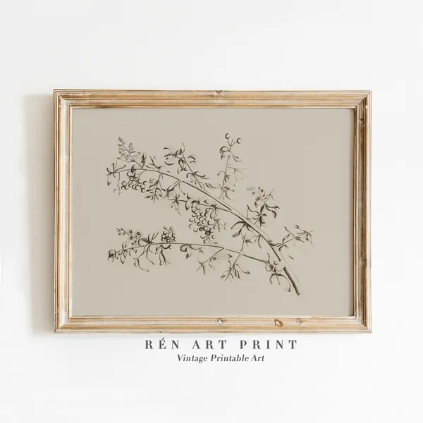 Antique Minimalist Botanical Branch Sketch Art Print