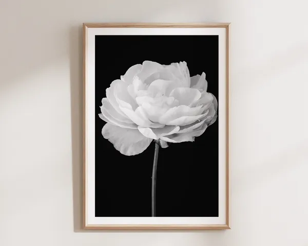 Peony Black and White Vertical Flower Art Print