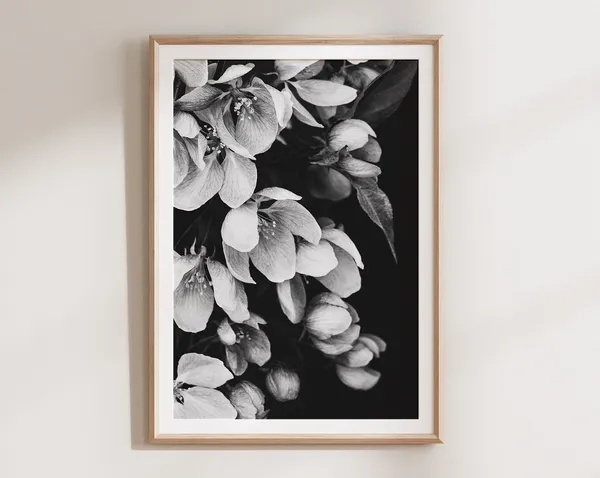 Black And White Flower Print, Bohemian Floral Art Print