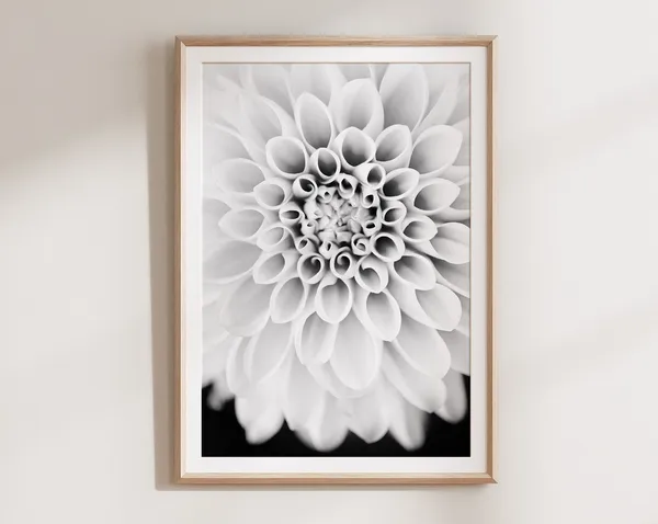 Dahlia Black and White Botanical Flower Art Print