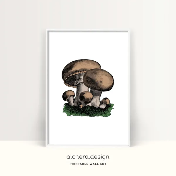 Vintage Mushroom Mushrooms Botanical Art Print