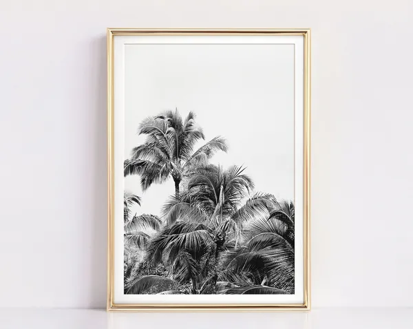 Palm Tree Tropical Hawaii Photography Art Print