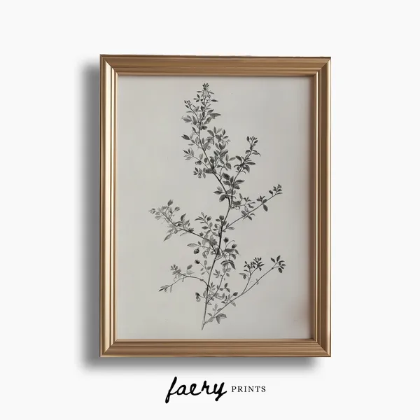 Botanical Illustration Print, Vintage Floral Sketch