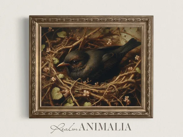 Vintage Blackbird In Nest Painting, Bird Art Print