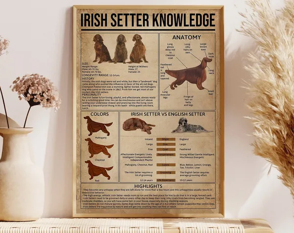 Irish Setter Vintage Poster, Dog Wall Art Print