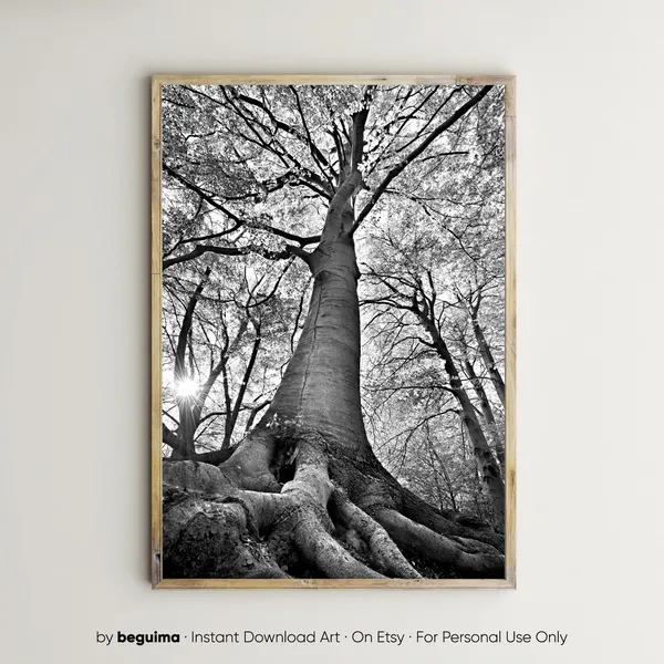 Forest Tree Wall Art Landscape Nature Photo Print