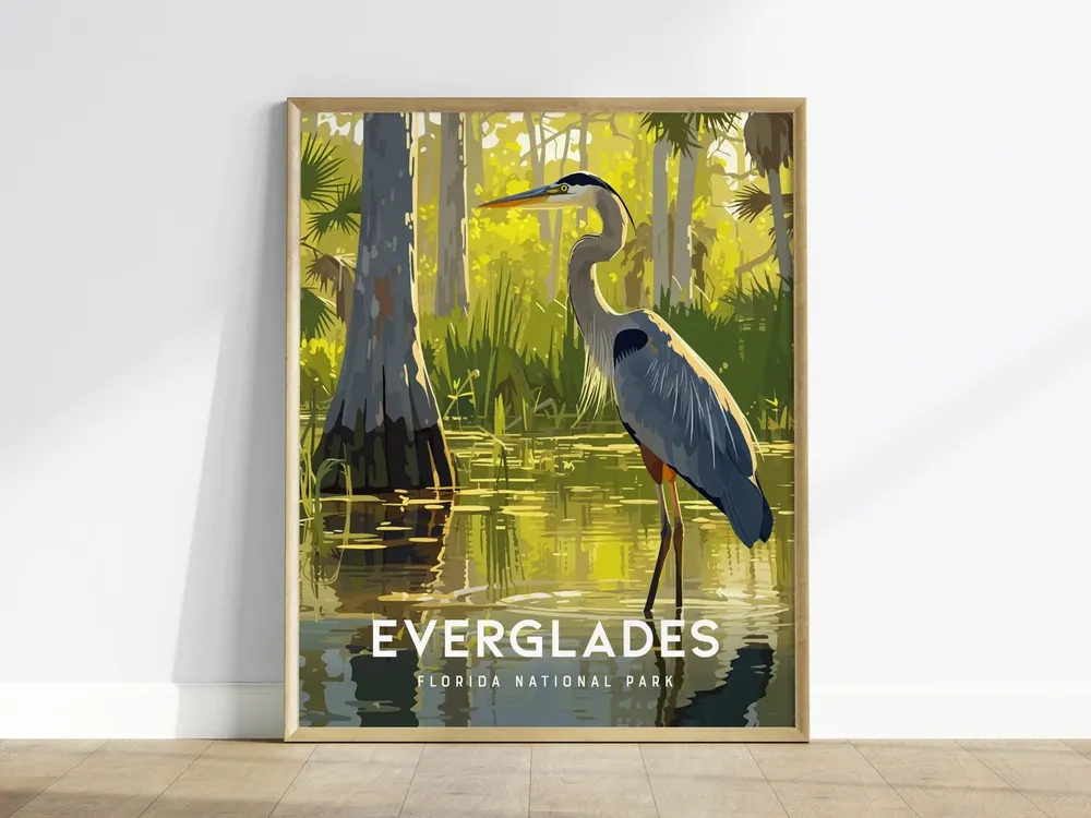 Great Blue Heron Everglades Art Print